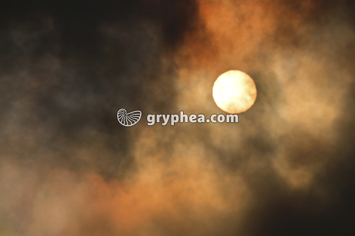 Vapeurs et gaz volcaniques émis par un volcan - Geldingadalir - Islande 2021 - gryphea.com